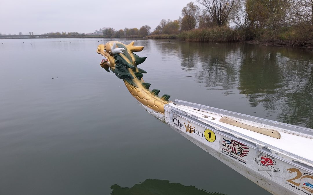 Pogumni kot Vikingi, natančni kot Robin Hoodi in zabavni kot kurenti